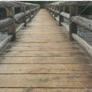 wooden bridge, jenny lake, wy