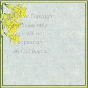 daffodil scrapbook paper