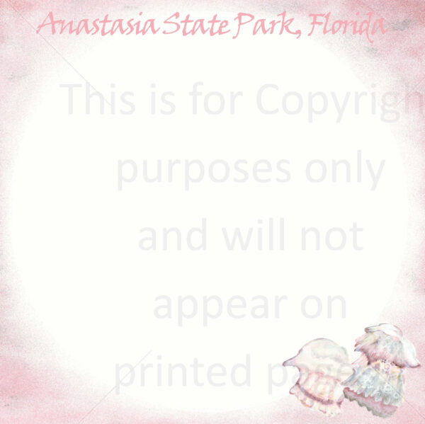 Anastasia State Park Scrapbook Paper