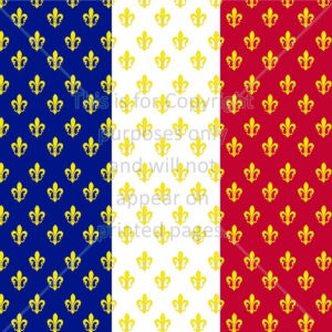 France Flag Flower