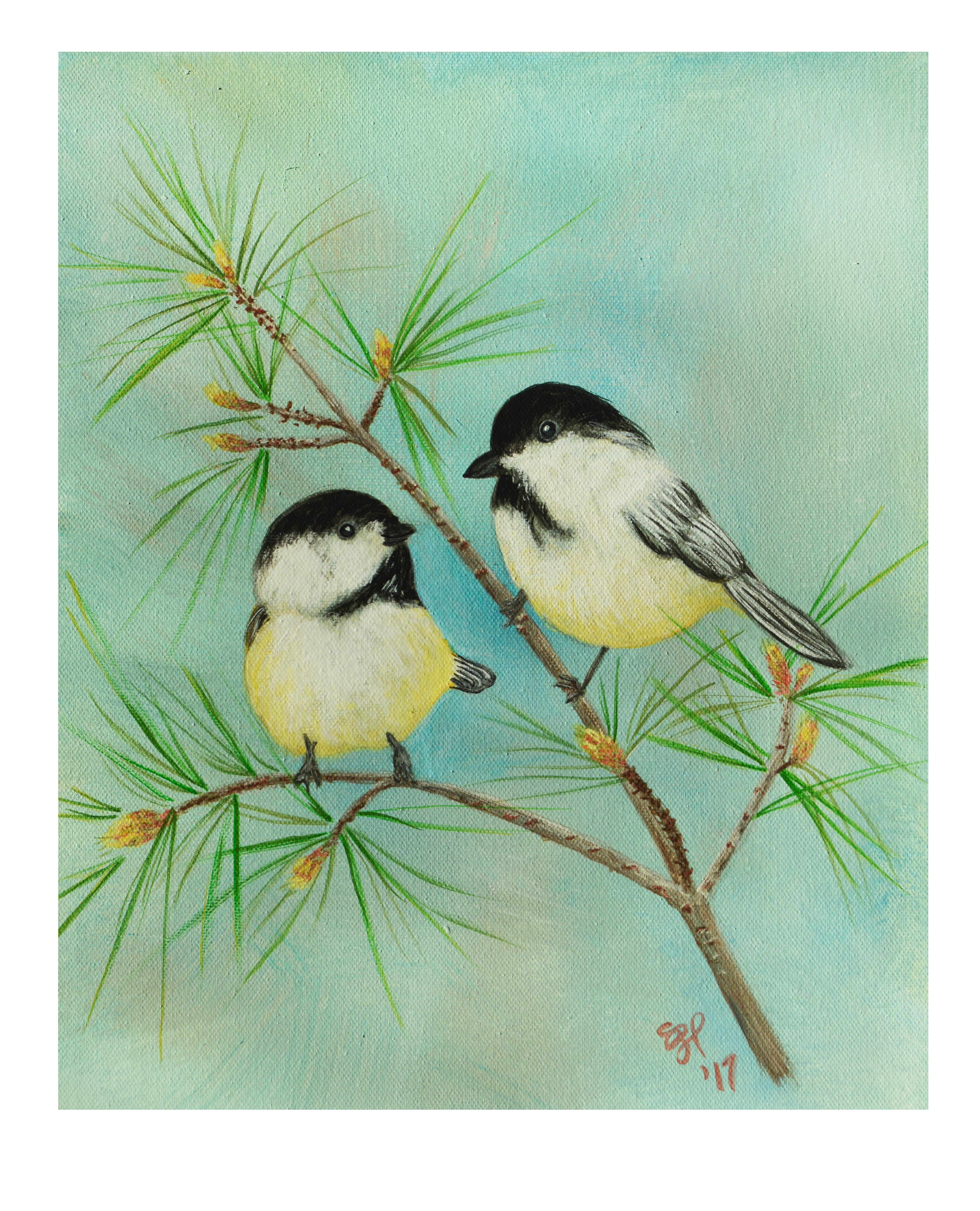 Chickadee Fine Art Acrylic Painting