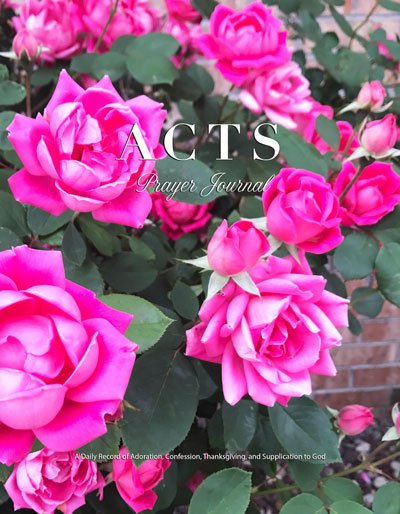 pink roses prayer journal