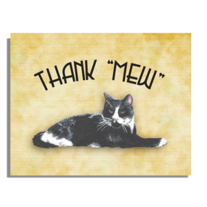 kevin the cat thank you notes