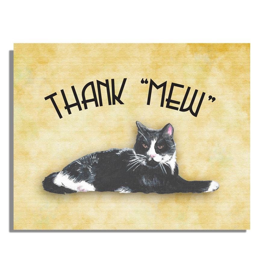 kevin the cat thank you notes