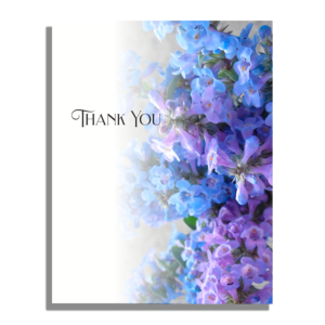 tiehack lupine thank you note cards