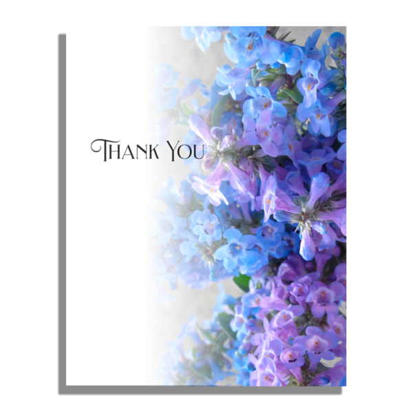 tiehack lupine thank you note cards