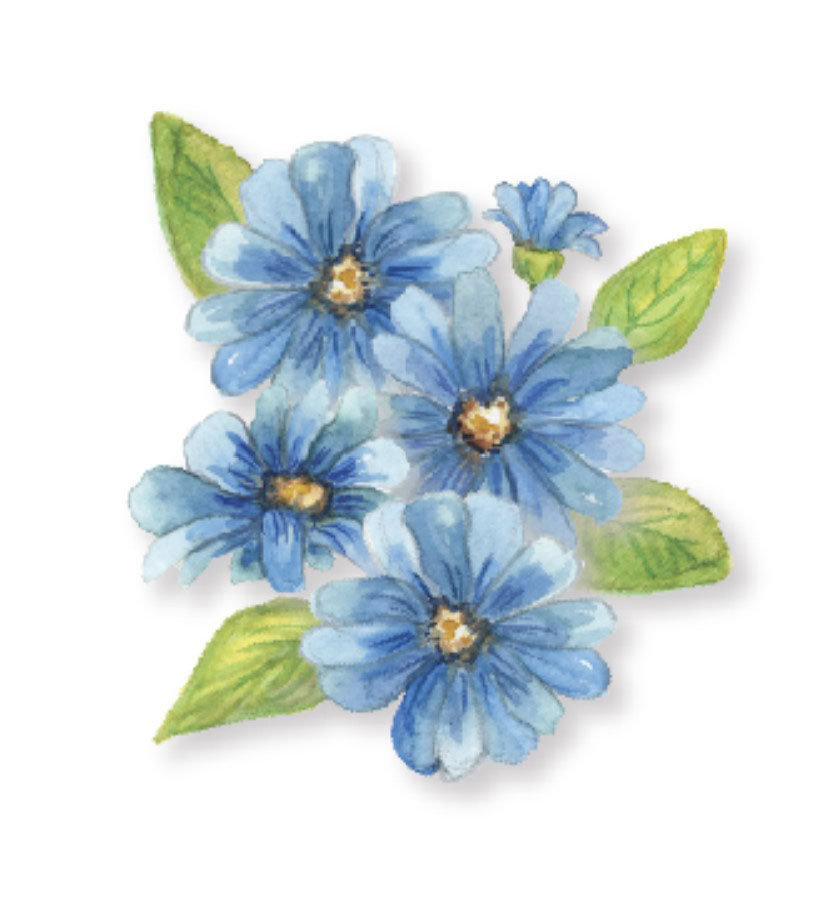 water colored blue daisies