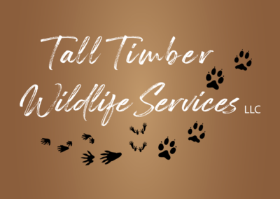 logo Tall Timber Wildlife Services