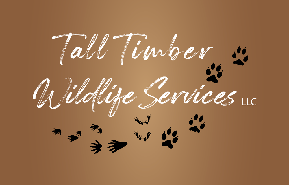 logo Tall Timber Wildlife Services