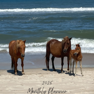 2025 Calendar Planner Chincoteague Island