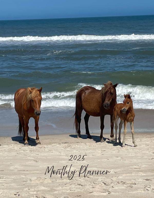 2025 Calendar Planner Chincoteague Island